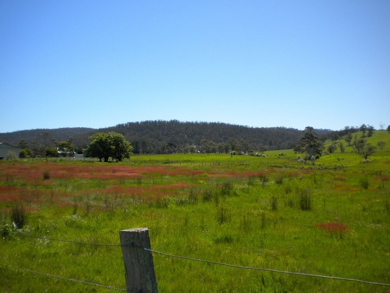 . Duke Street, Buckland TAS 7190