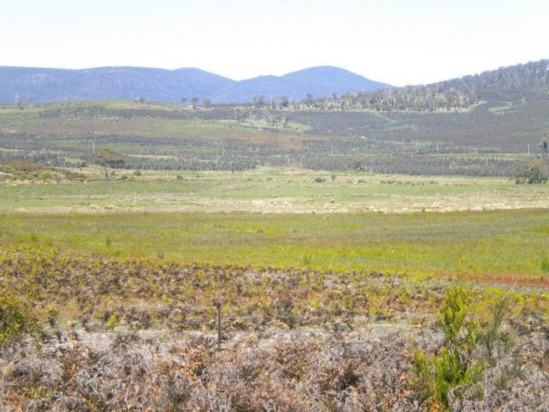 . Duke Street, Buckland TAS 7190