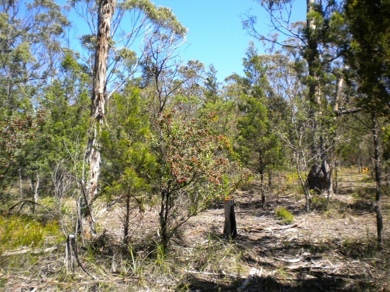 . Duke Street, Buckland TAS 7190