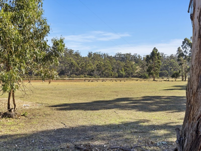 10506 Tasman Highway, Little Swanport TAS 7190