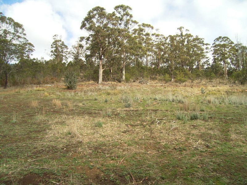 45 Alma Road, Orford TAS 7190