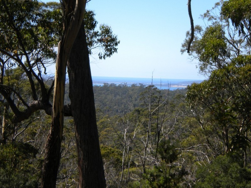 Orford TAS 7190