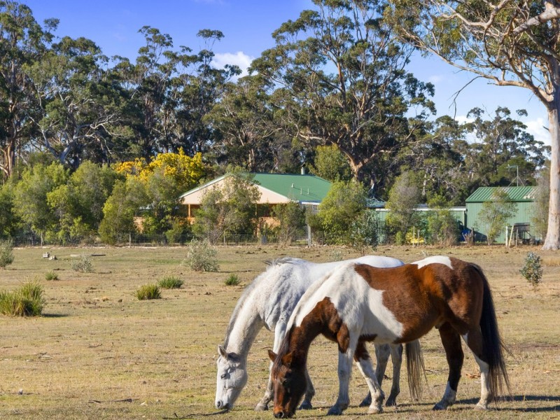 10746 Tasman Highway, Little Swanport TAS 7190