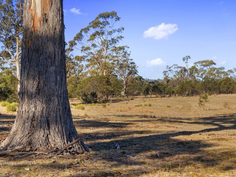 10746 Tasman Highway, Little Swanport TAS 7190