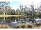 10746 Tasman Highway, Little Swanport TAS 7190