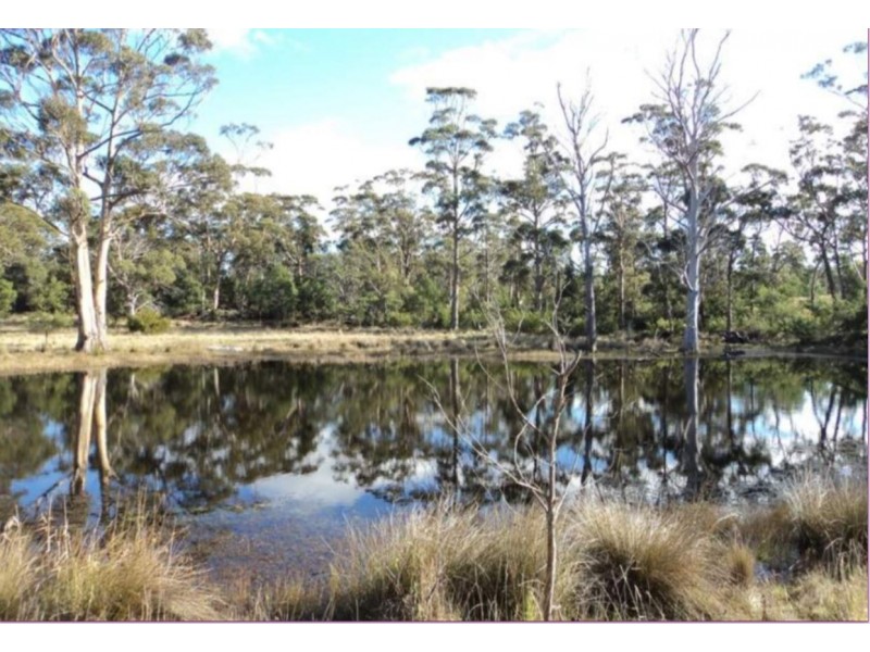 10746 Tasman Highway, Little Swanport TAS 7190