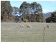 6074 High Street, Buckland TAS 7190