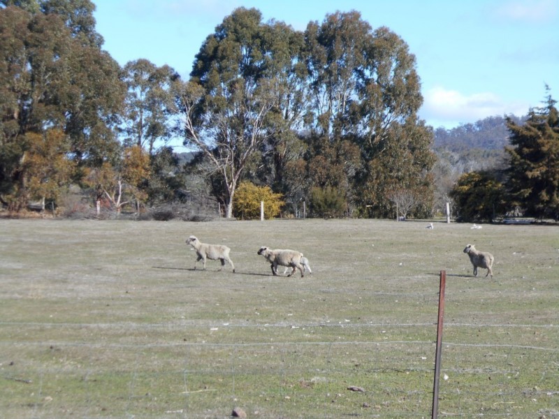 6074 High Street, Buckland TAS 7190