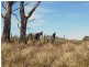 57 Inkerman Street, Triabunna TAS 7190