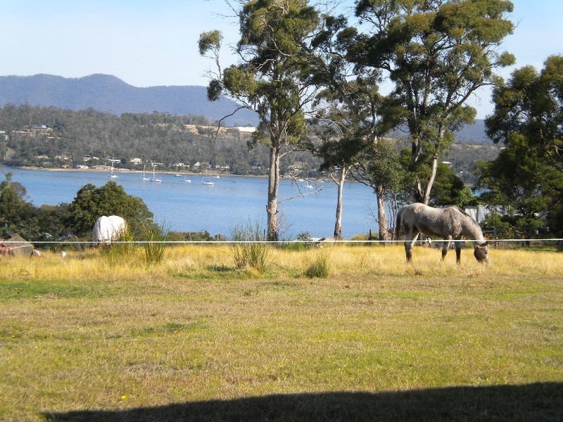 75 Inkerman Street, Triabunna TAS 7190