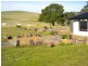 75 Inkerman Street, Triabunna TAS 7190