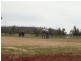 75 Inkerman Street, Triabunna TAS 7190