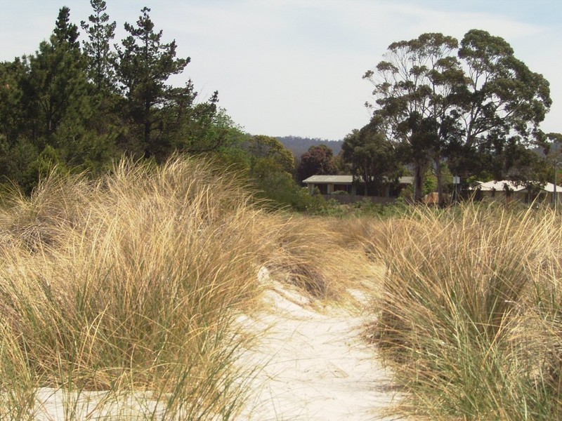 6 Walpole Street, Orford TAS 7190