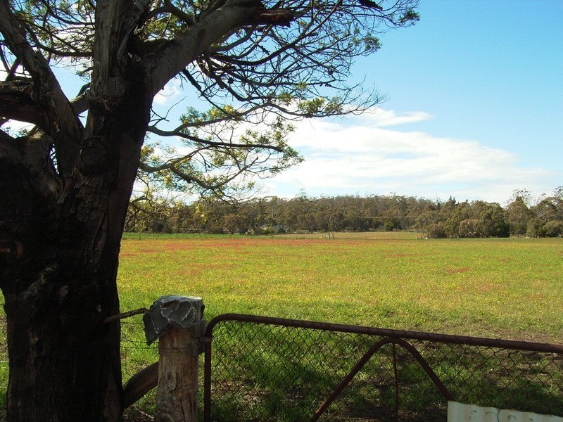 155 Rheban Road, Orford TAS 7190