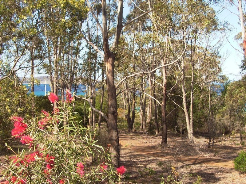 308 Rheban Road, Spring Beach TAS 7190
