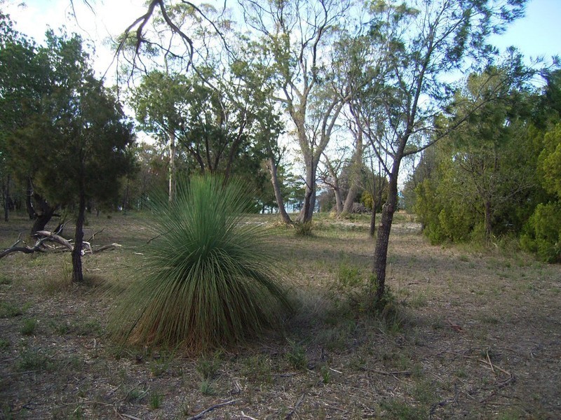 15 Manning Drive, Orford TAS 7190