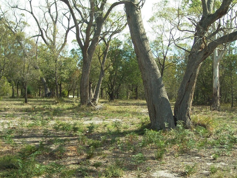 15 Manning Drive, Orford TAS 7190