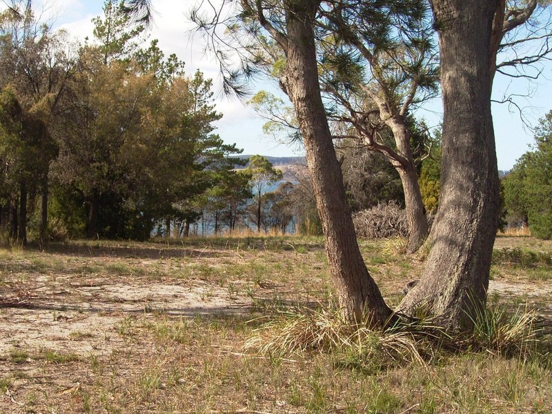 15 Manning Drive, Orford TAS 7190