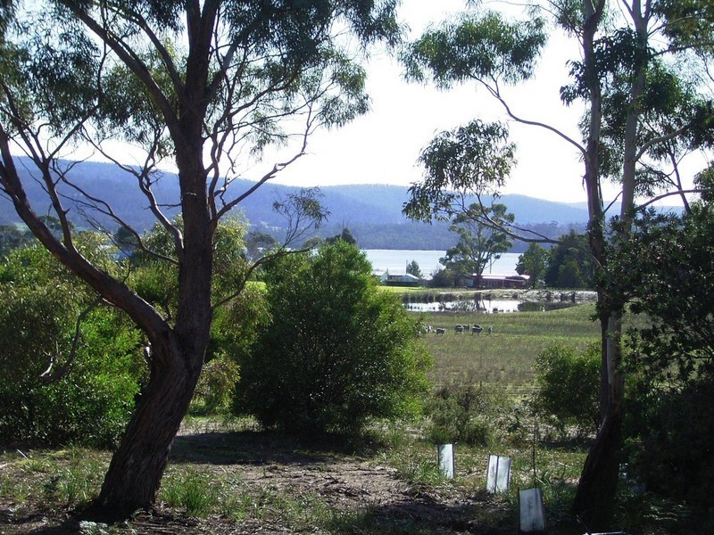 1 Pine Hills Court, Orford TAS 7190