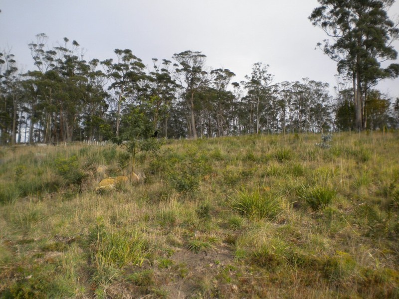 Lot 4 Bernacchi Drive, Orford TAS 7190