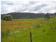 * Maria Street, Triabunna TAS 7190