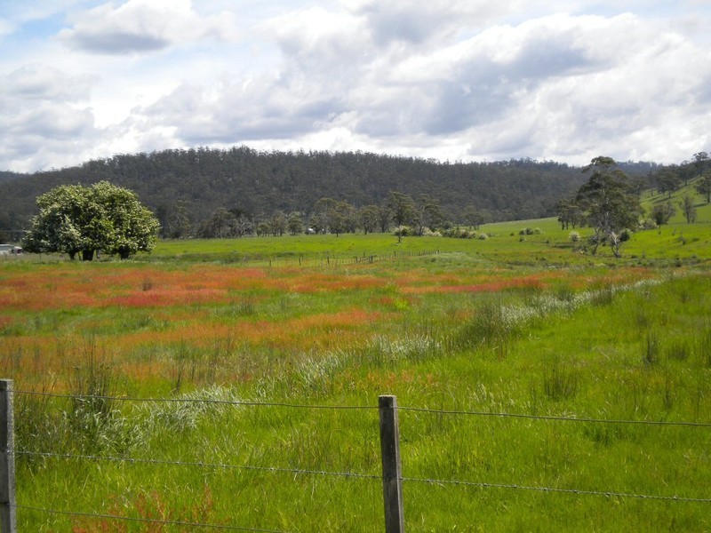 * Maria Street, Triabunna TAS 7190