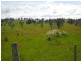 * Maria Street, Triabunna TAS 7190