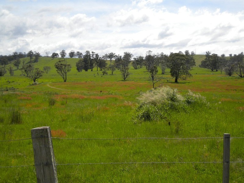 * Maria Street, Triabunna TAS 7190