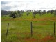 * Maria Street, Triabunna TAS 7190