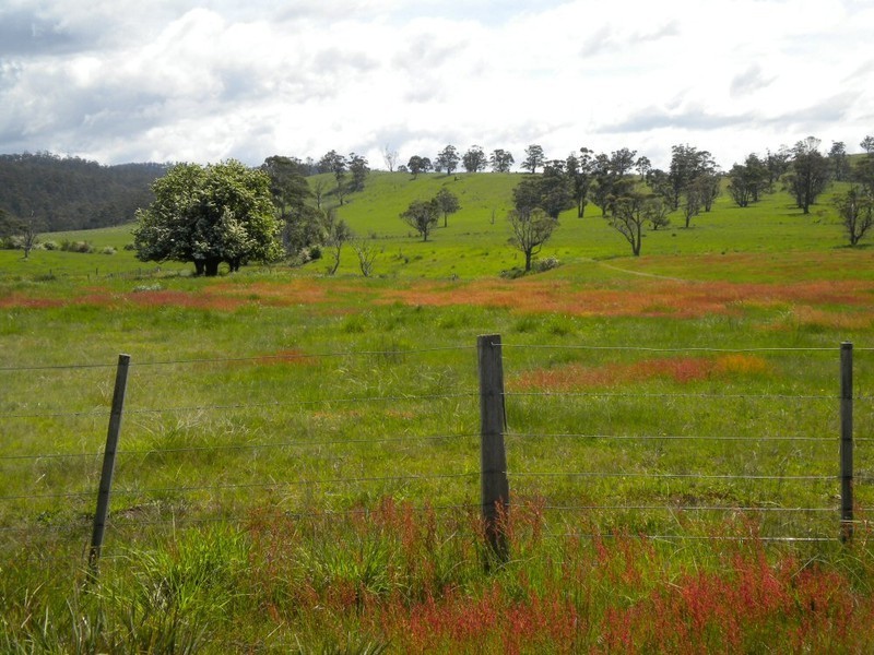 * Maria Street, Triabunna TAS 7190