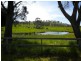 * Louisa Street, Triabunna TAS 7190