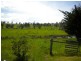 * Louisa Street, Triabunna TAS 7190