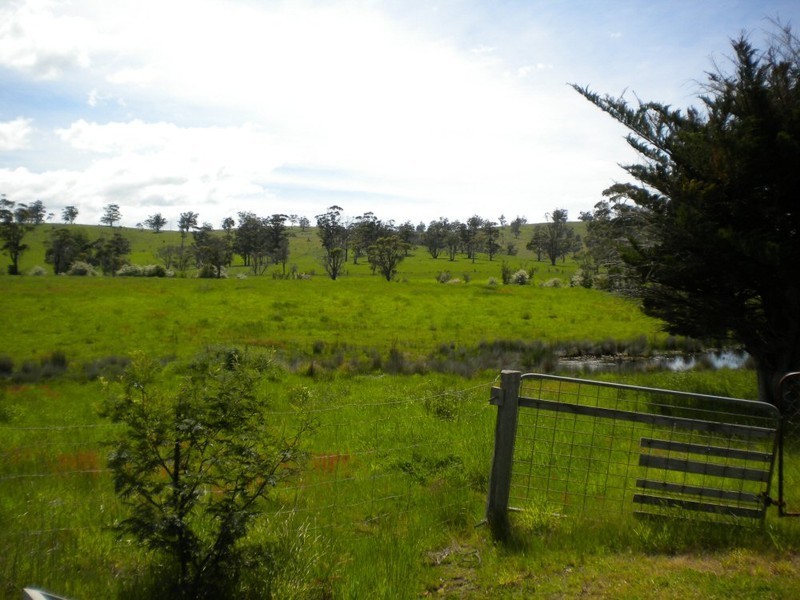 * Louisa Street, Triabunna TAS 7190