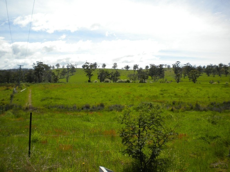 * Louisa Street, Triabunna TAS 7190