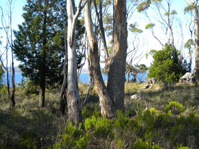 391 Rheban Road, Spring Beach TAS 7190