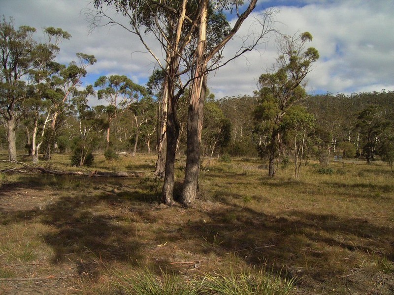 Lots 1 – 9 Russell Street, Orford TAS 7190