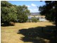 32 Ada Street, Triabunna TAS 7190