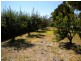 32 Ada Street, Triabunna TAS 7190