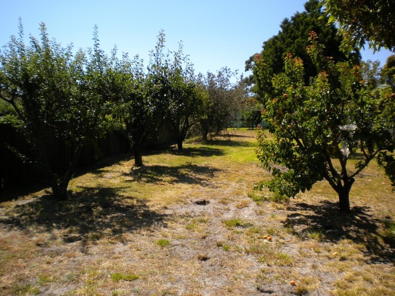 32 Ada Street, Triabunna TAS 7190