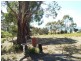 3 Van Leeuwen Crescent, Spring Beach TAS 7190
