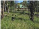 Spring Beach TAS 7190