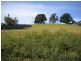 5  Howells Place, Triabunna TAS 7190