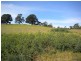 5  Howells Place, Triabunna TAS 7190