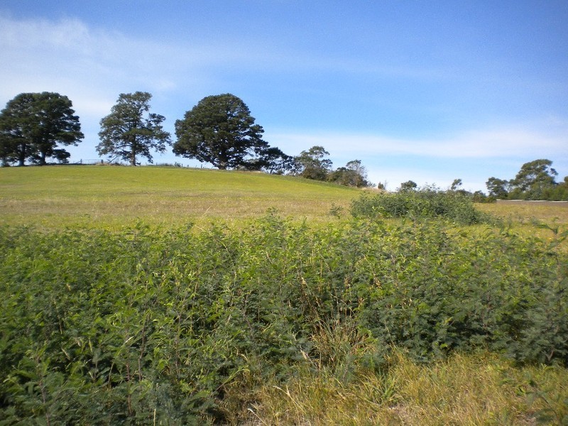 5  Howells Place, Triabunna TAS 7190