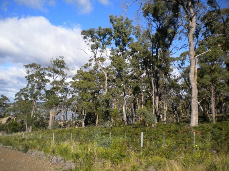 Lot 3  Bernacchi Drive, Orford TAS 7190