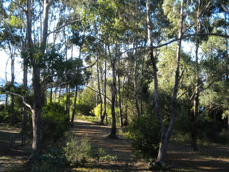 308 Rheban Road, Spring Beach TAS 7190