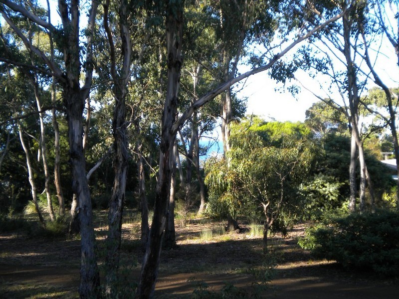 308 Rheban Road, Spring Beach TAS 7190