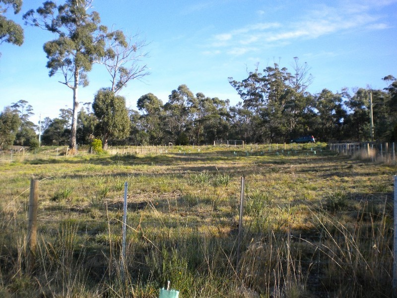 Lot 1, 62  Bernacchi Drive, Orford TAS 7190