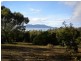 36 Happy Valley Road, Spring Beach TAS 7190