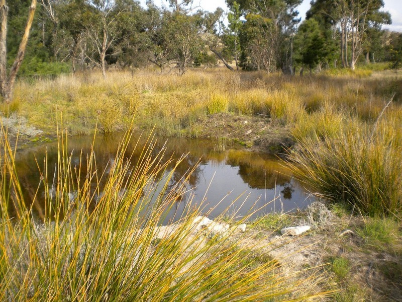 Triabunna TAS 7190